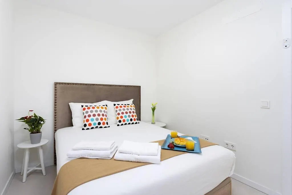 Amazing Brand New Apartment In Santa Cruz
